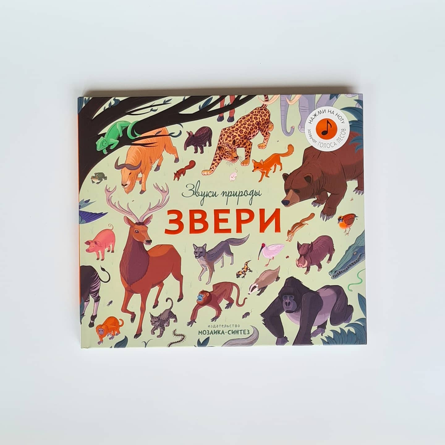 Звери. Звуки природы