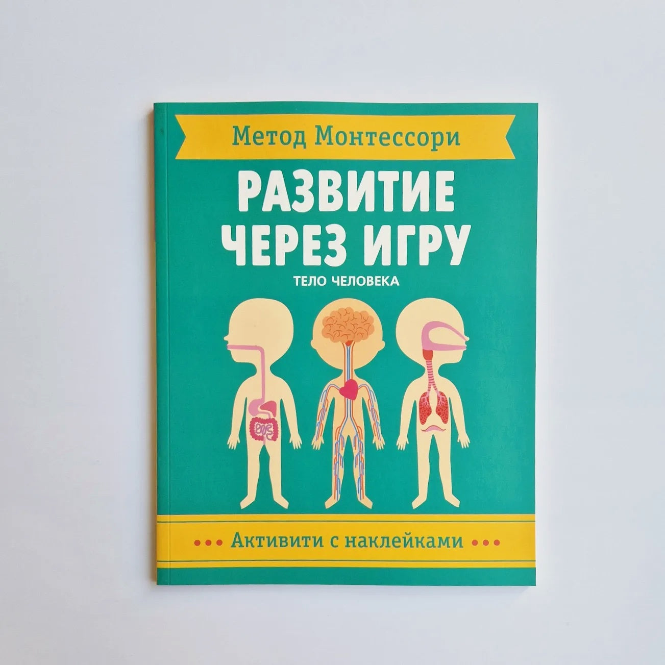 Метод Монтесcори. Тело человека. Активити с наклейками. Развитие через игру