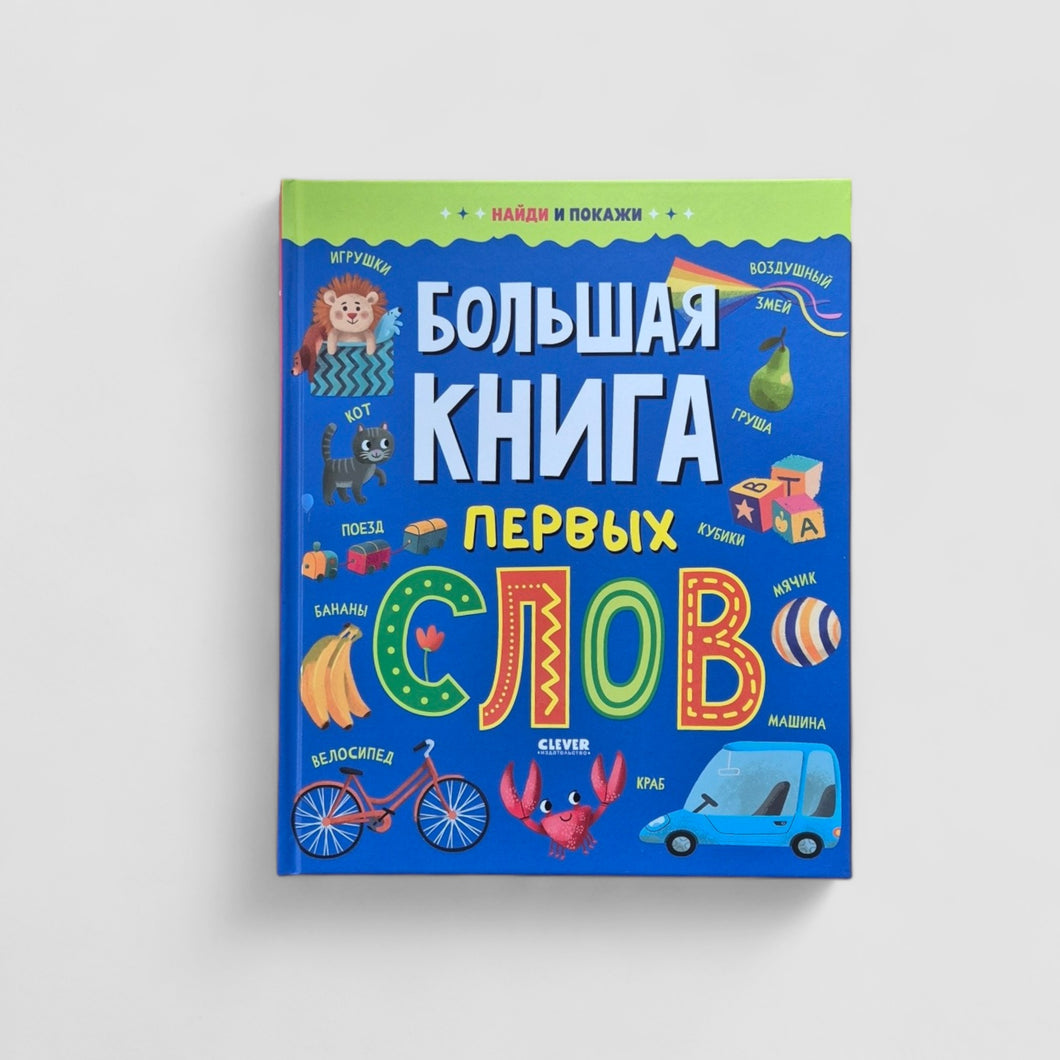 Большая книга первых слов. Найди и покажи