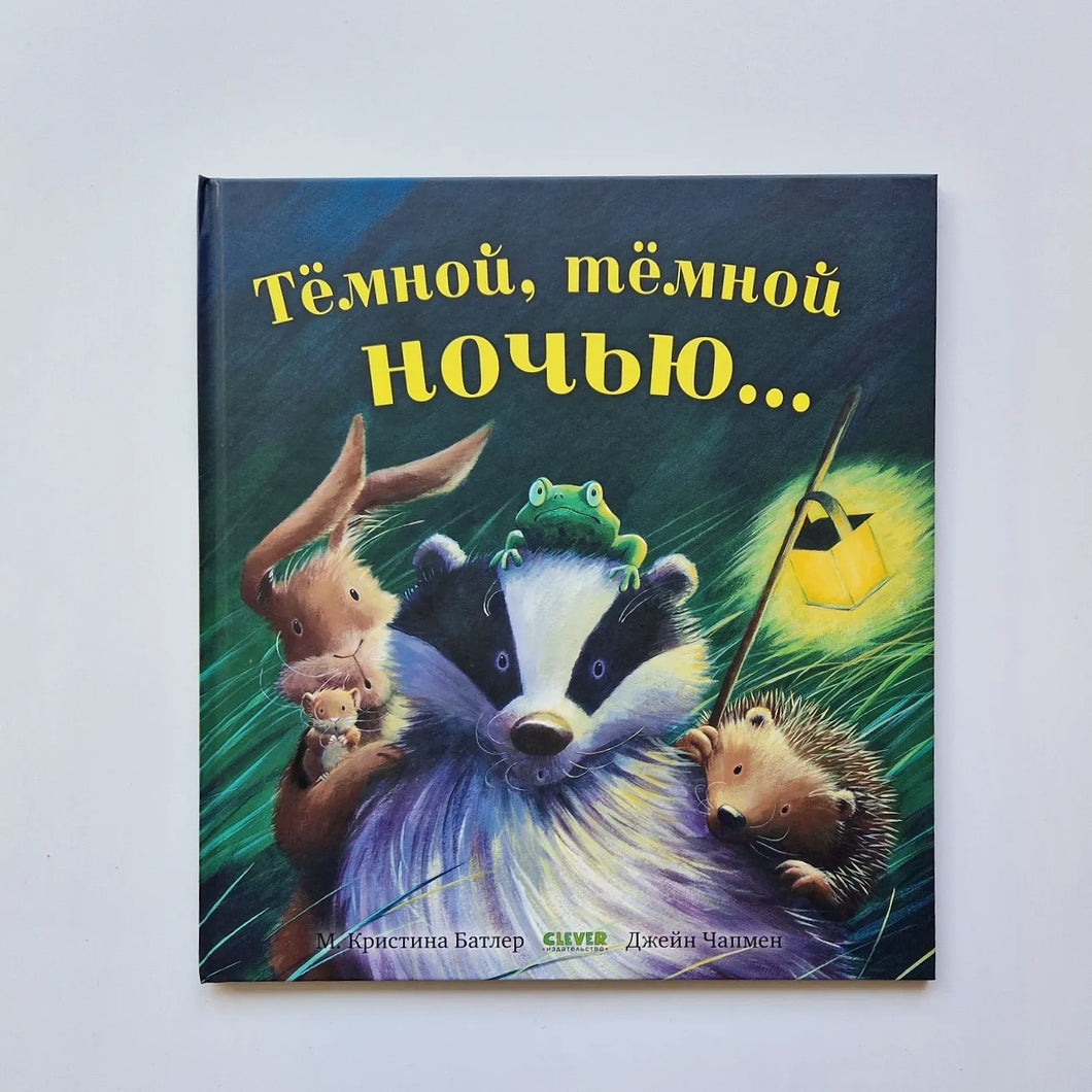 Тёмной, тёмной ночью